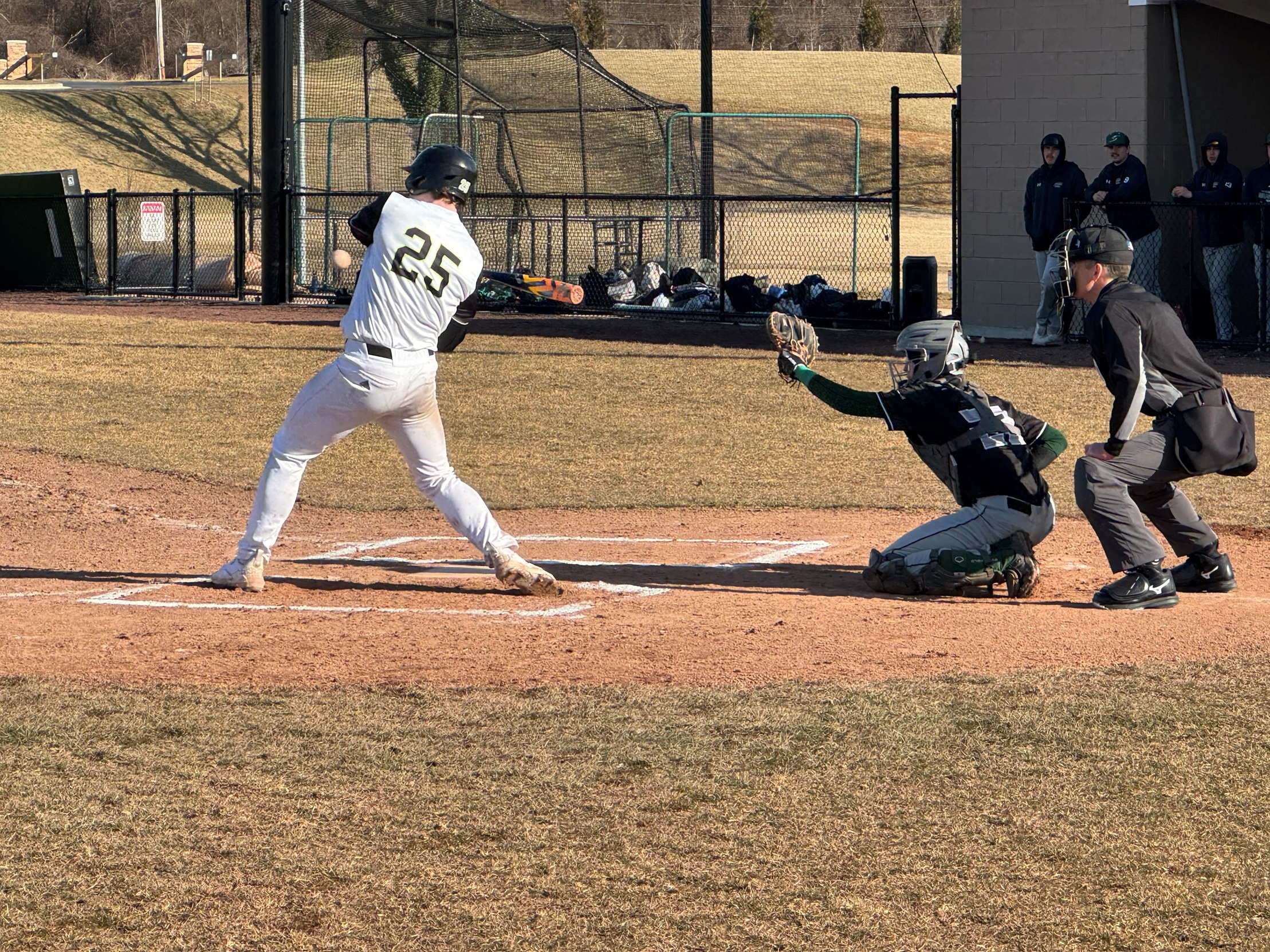 Lesley Drops Both Games Wednesday Against Cairn and New Jersey City