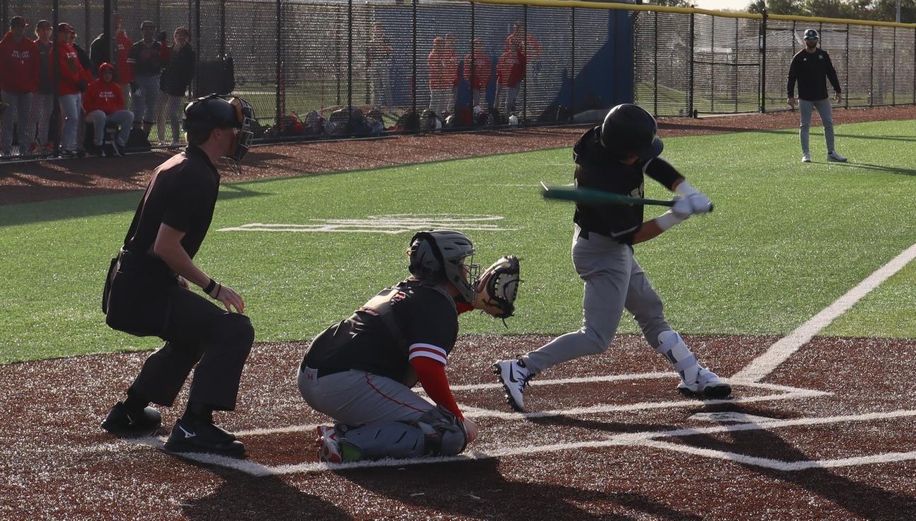 Baseball Falls To Falcons