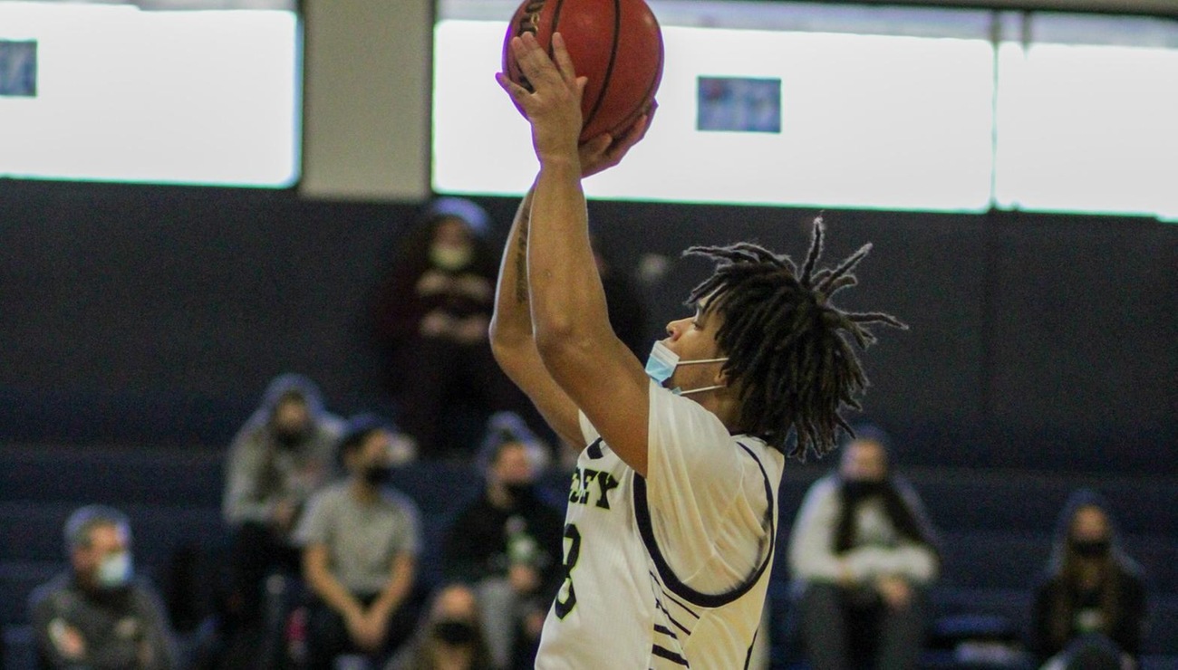 Lynx Lose Close One to Lions