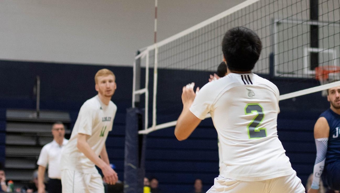 Lynx Can't Stop Gulls in 3-0 Sweep
