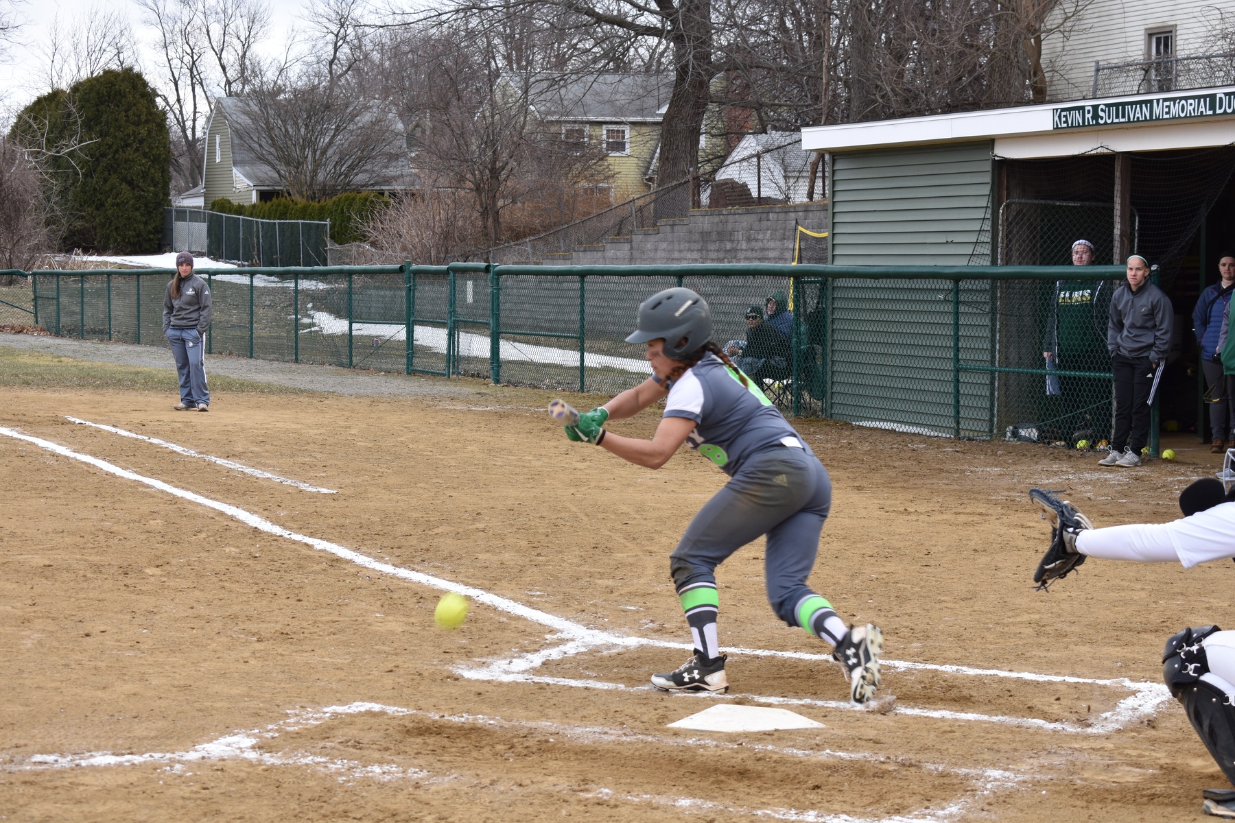 Lynx Lose Battle with Rams, 1-0 and 2-1