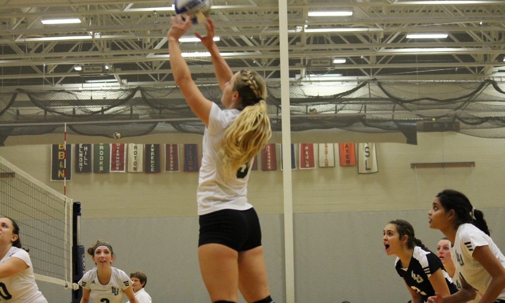 Nighthawks block by Lynx, hand Lesley 3-1 defeat