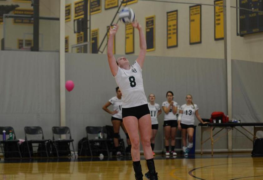 Women's Volleyball Tops Elms for Win in NECC Opener