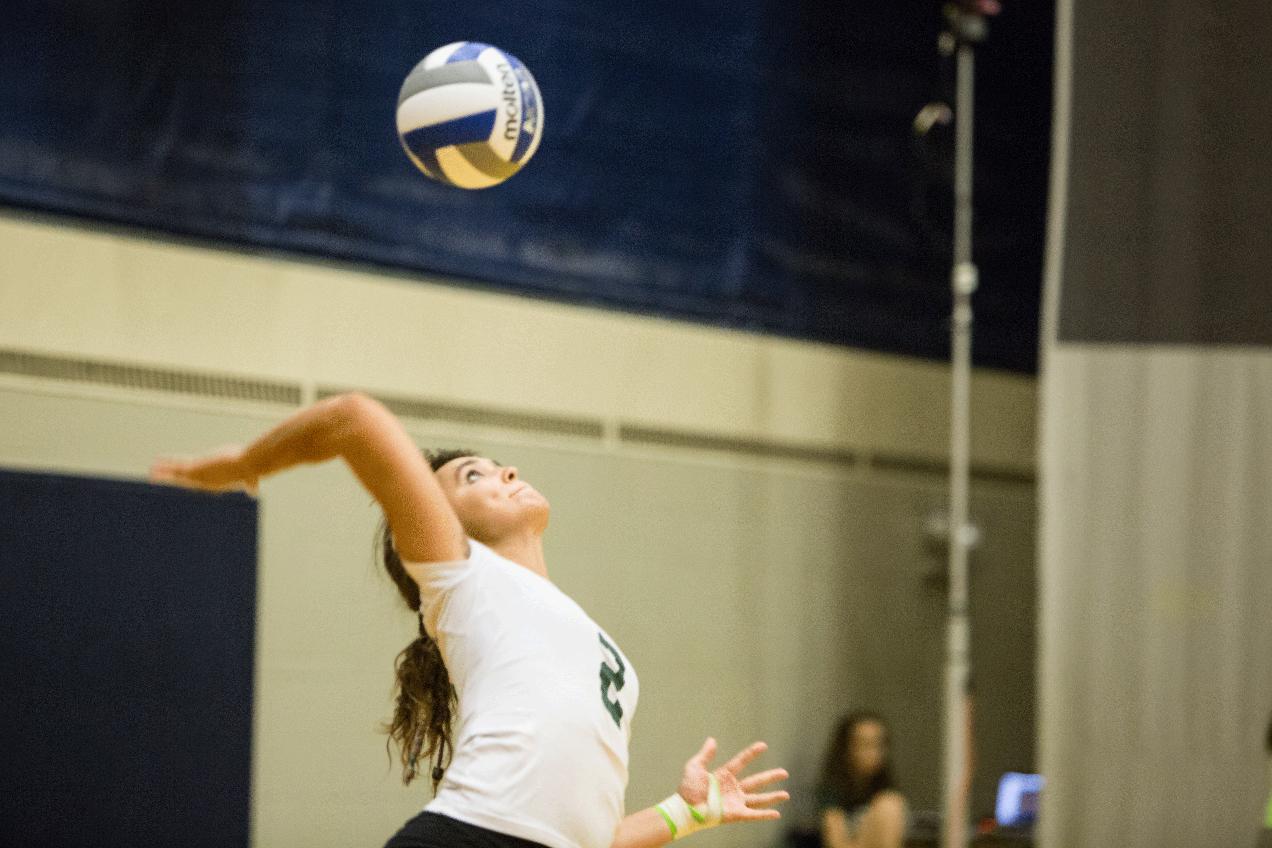 Women's Volleyball Splits Day at Wentworth Tri-Match