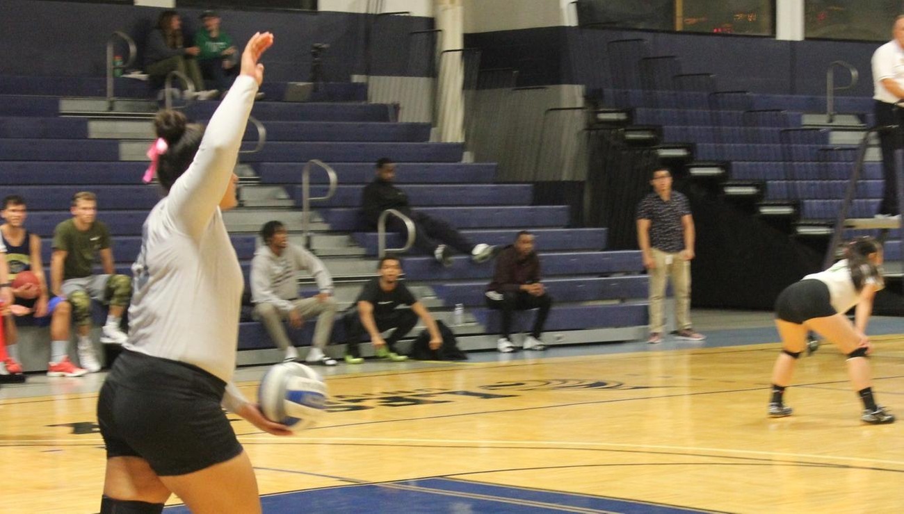Lynx Sweep Gators in Doubleheader