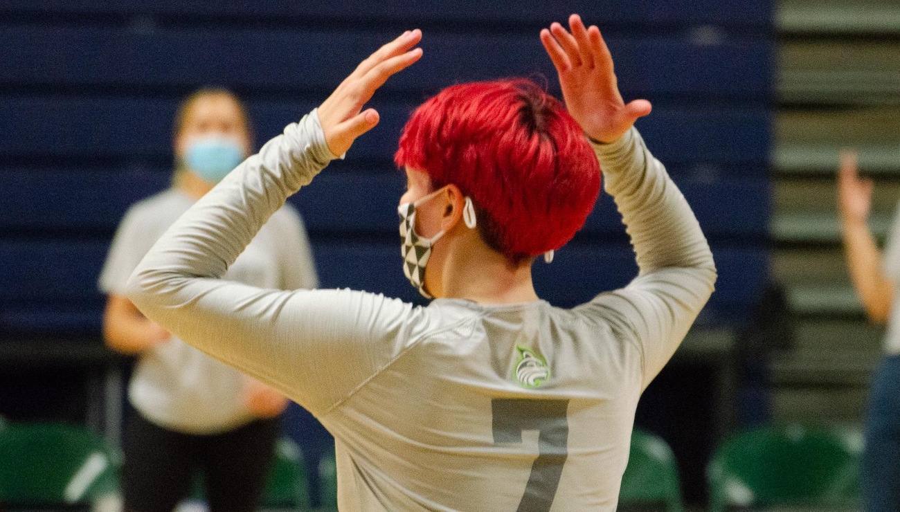 Lynx Fall to Conference Opponent Mitchell