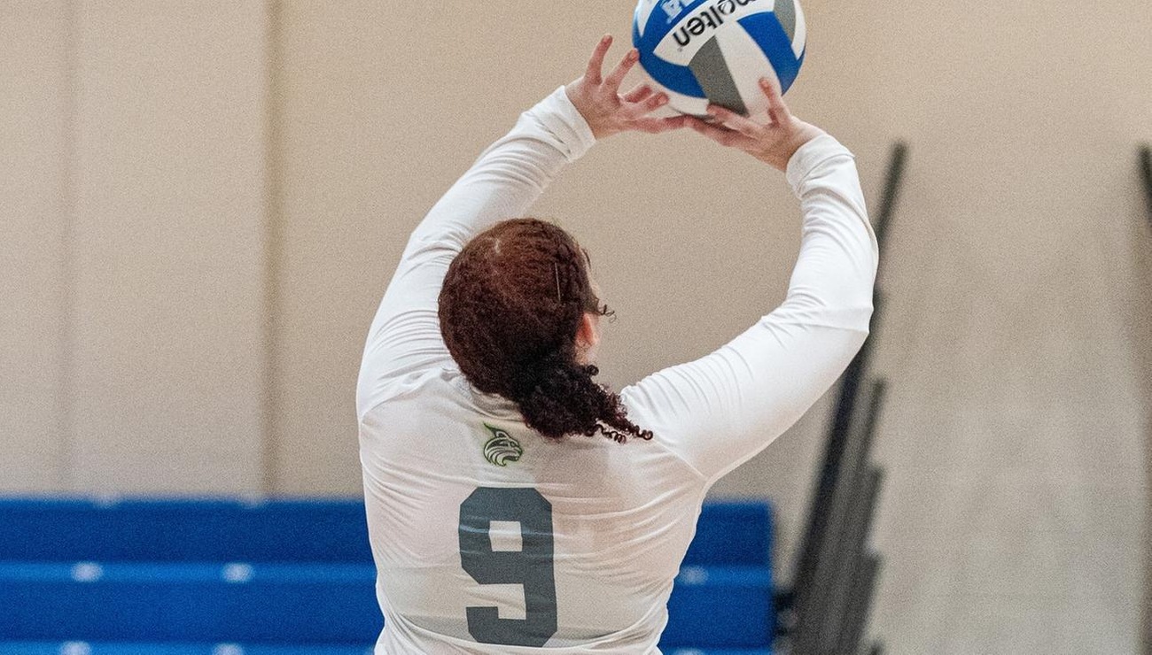 AMCats Claw Past Lynx in Women's Volleyball Action, 3-0