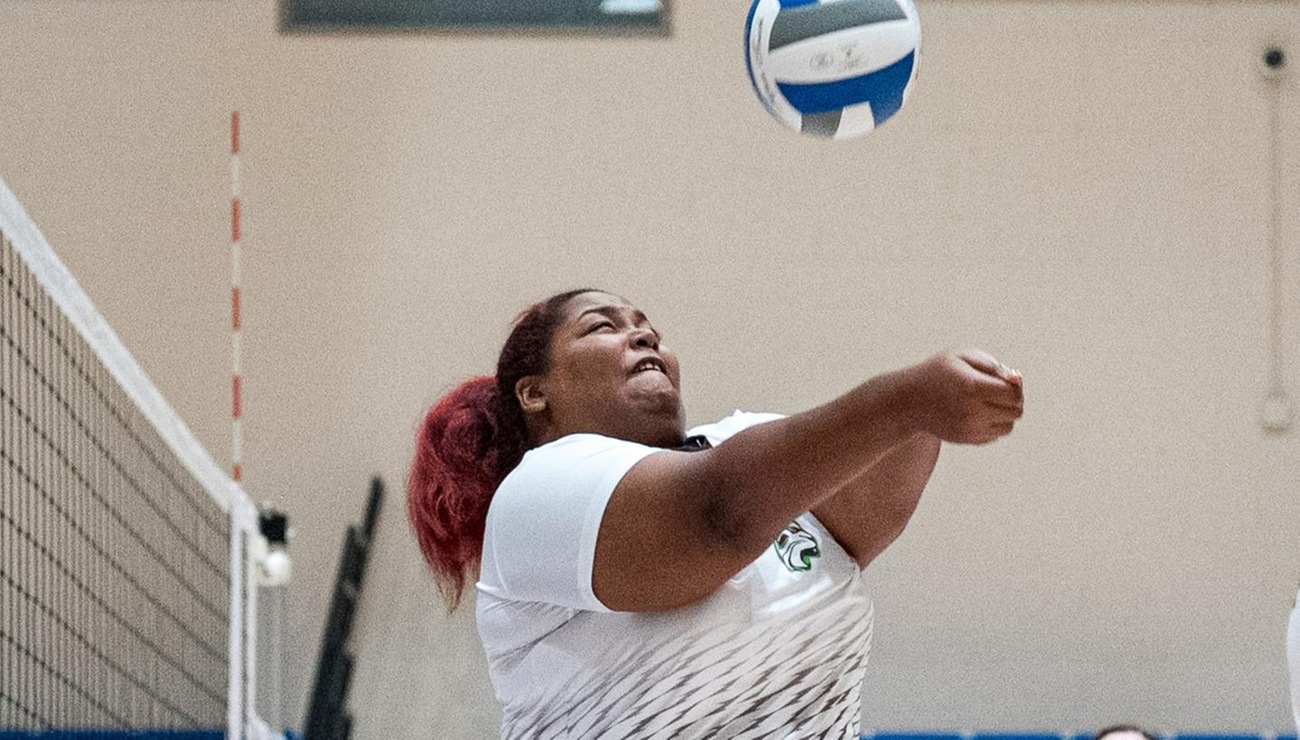 Eagles Soar Past Lynx in NAC Clash, 3-0