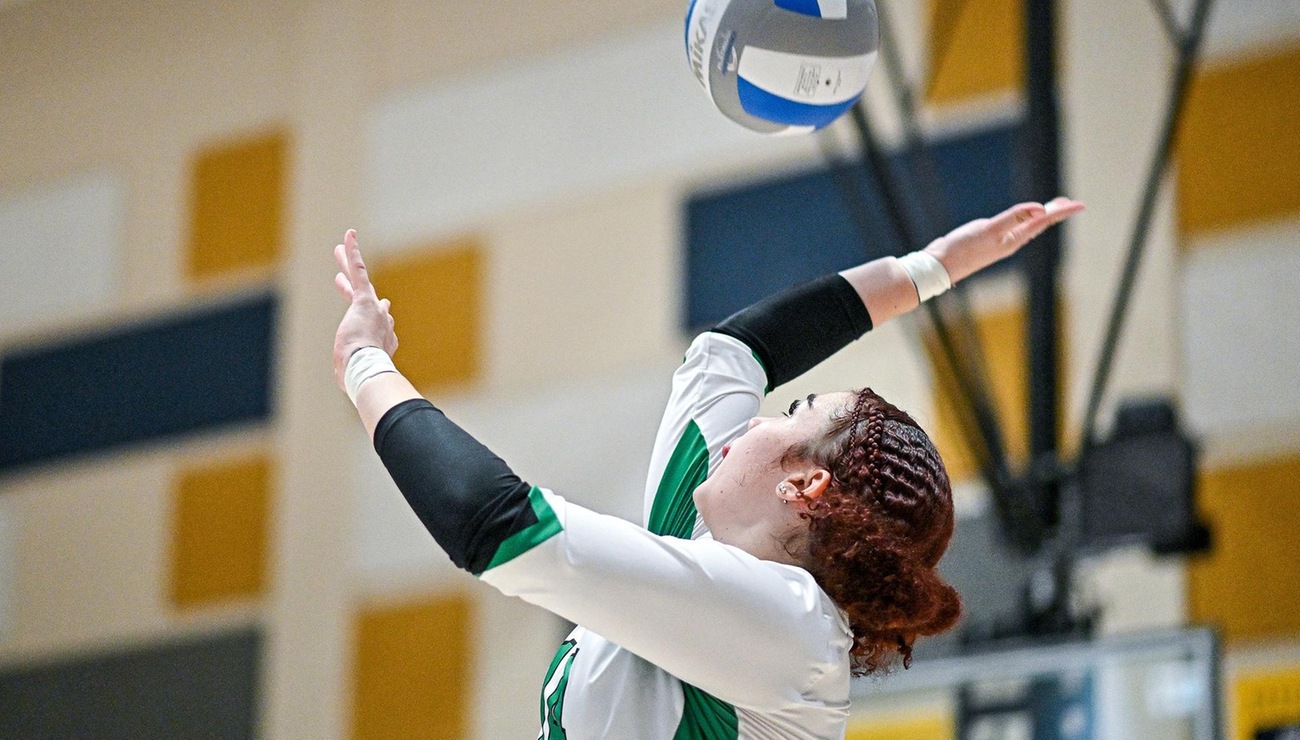 Volleyball Drops Road Match to Albertus Magnus
